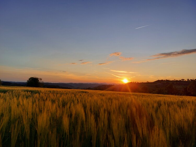 Rücksicht auf frisch bestellte Felder und Wiesen