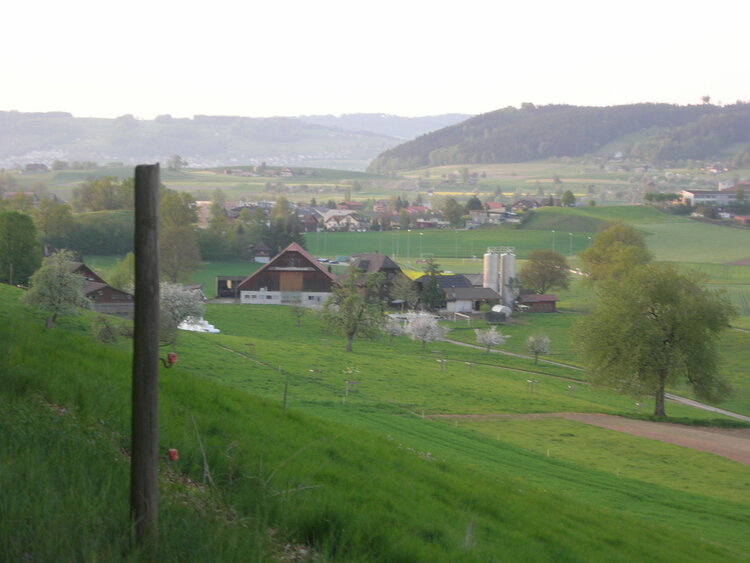 Schulwegsicherheit