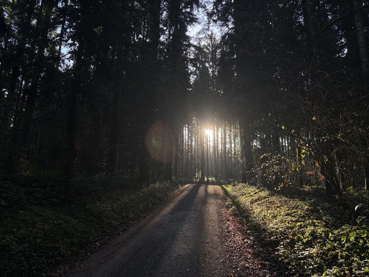 Velo- und Bikerouten