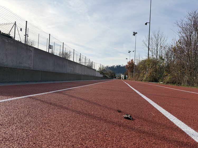 Schnelllaufbahn