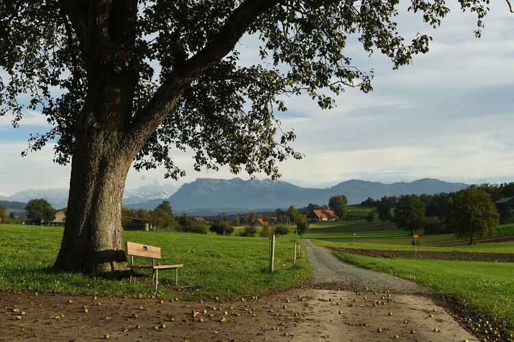 Amphibienwanderung im Ostergau: Temporäre Strassensperrungen