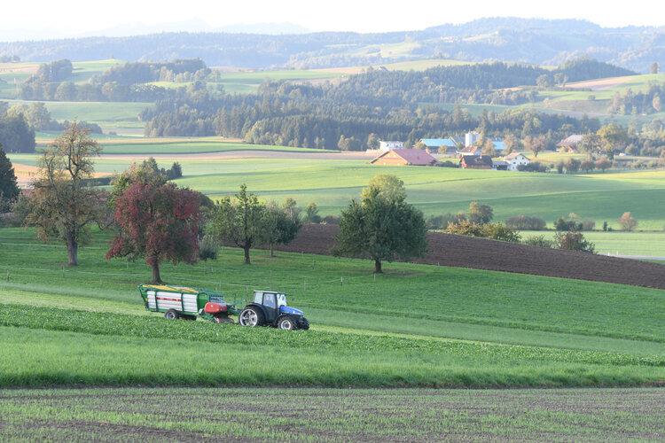 Erfolgreicher Lehrabschluss